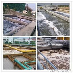 工业污水处理工艺基本要求解析及其实践应用