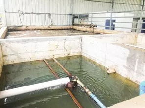 农户众筹400多万元建废水处理站 成本回收后还能分红，这番操作值得借鉴